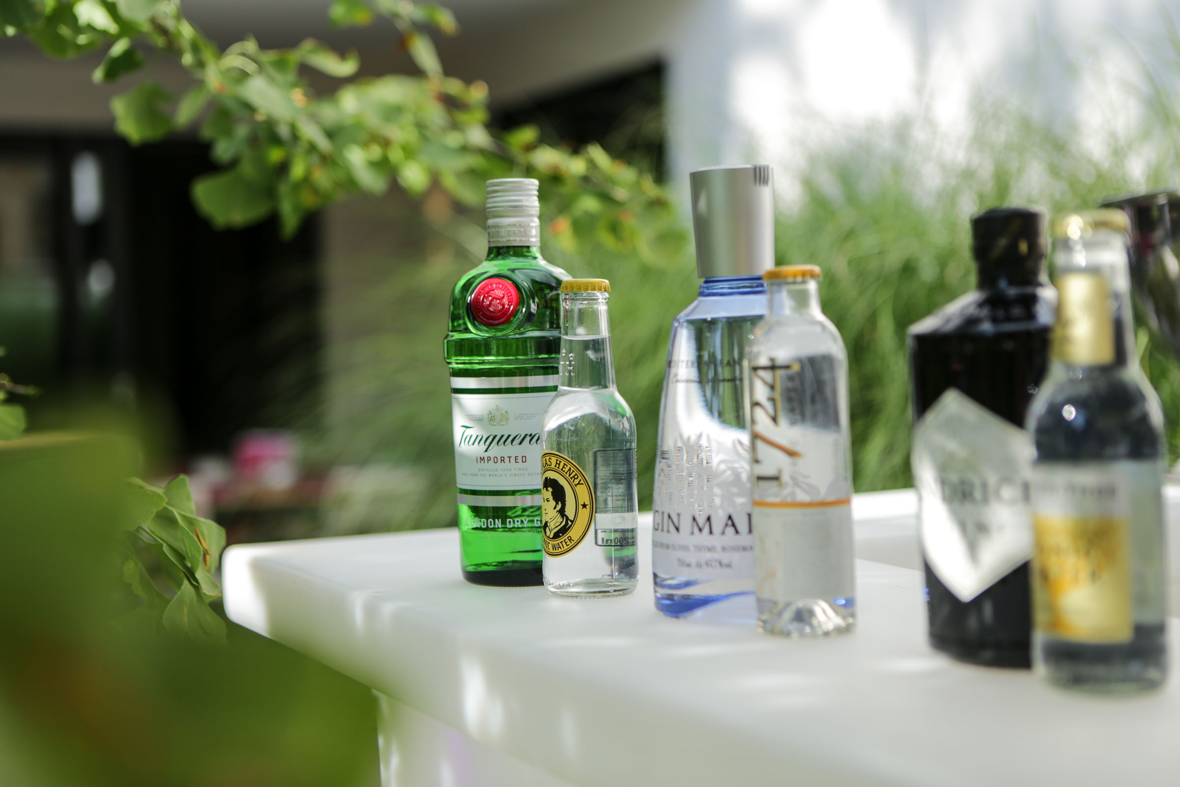 Gin Tonic der neue PartyDrink Die Kulinarische Werkstatt